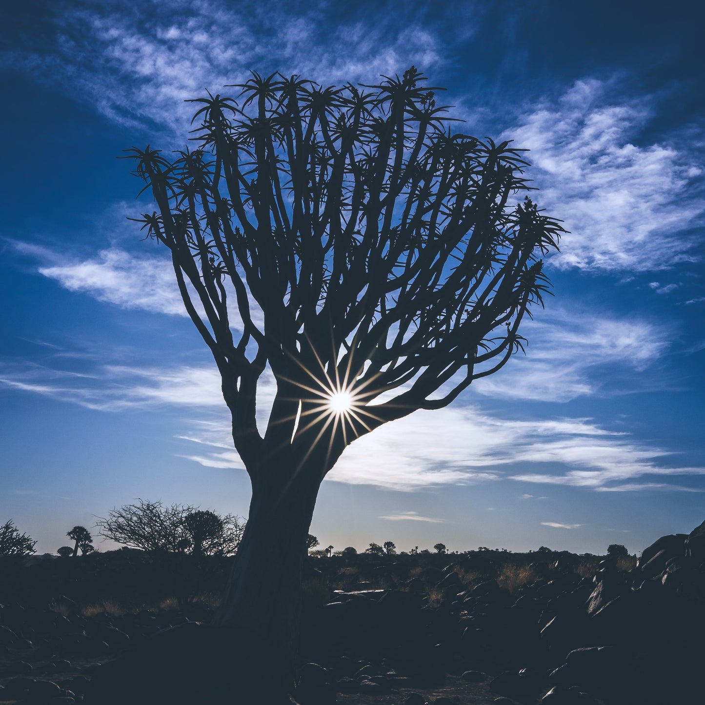 Lightroom Presets Pack 1 | 27 Stück | Landschaft, Milchstraße, Wald