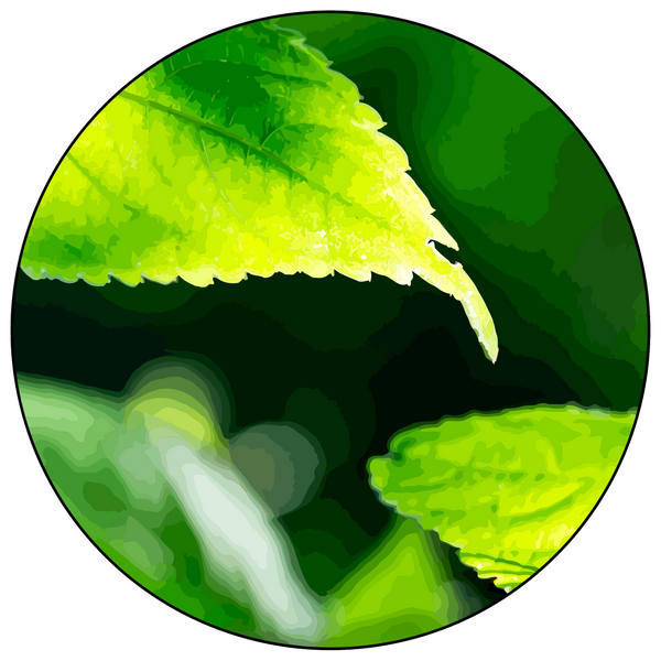 AmazingNature Alpha Shop