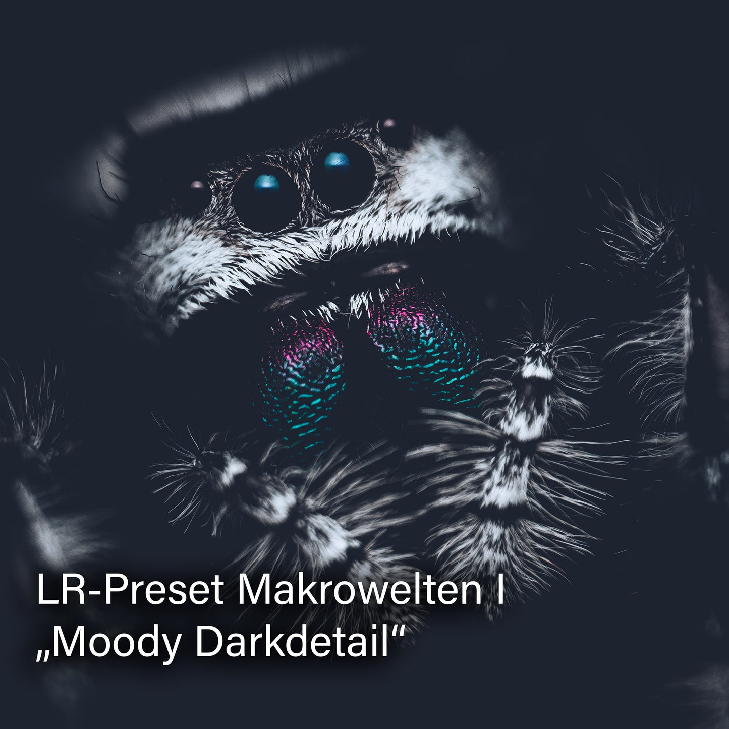 Lightroom Presets SPARPAKET | Pack 3 + Pack 4 im Bundle