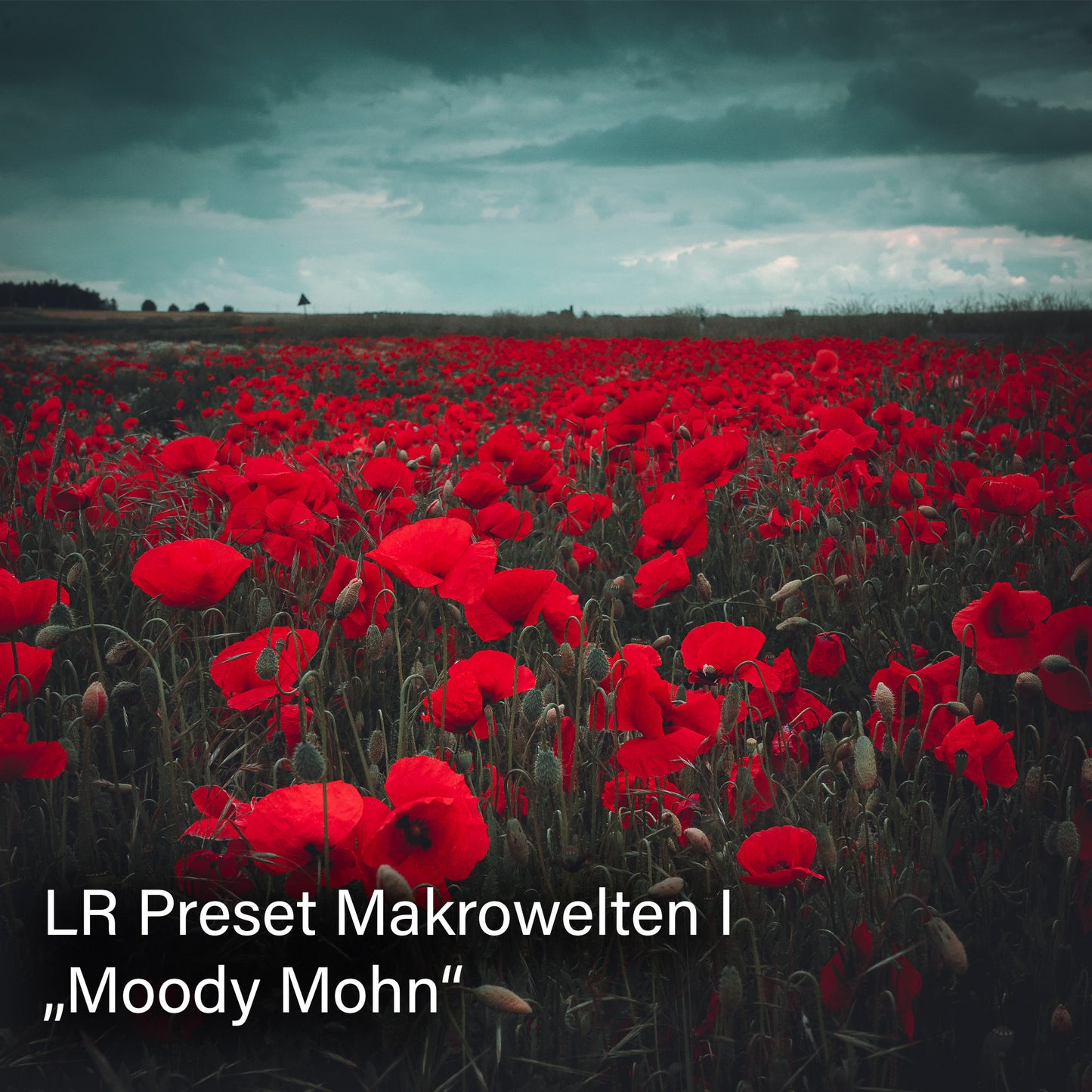 Lightroom Presets SPARPAKET | Pack 3 + Pack 4 im Bundle