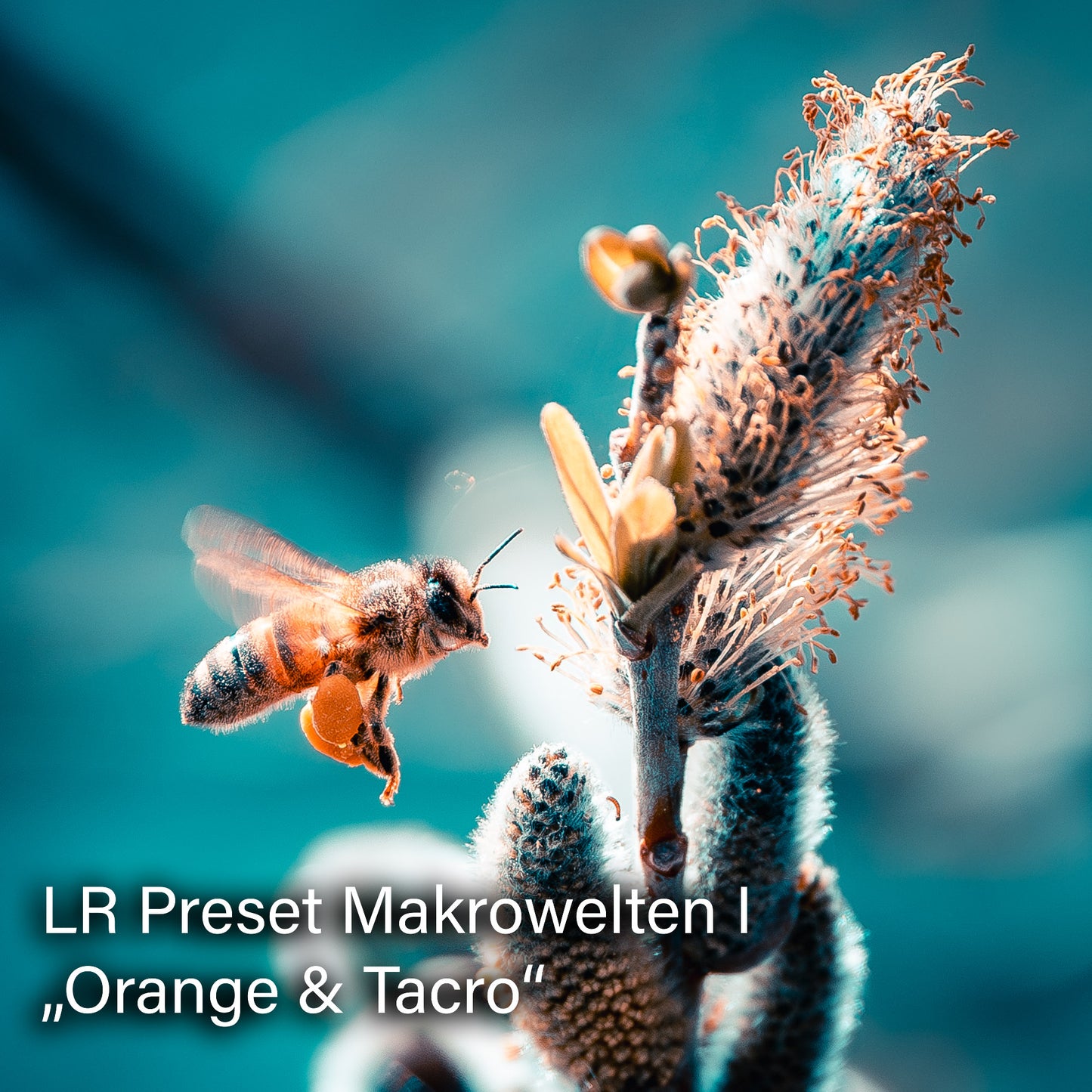 Lightroom Presets SPARPAKET | Pack 3 + Pack 4 im Bundle