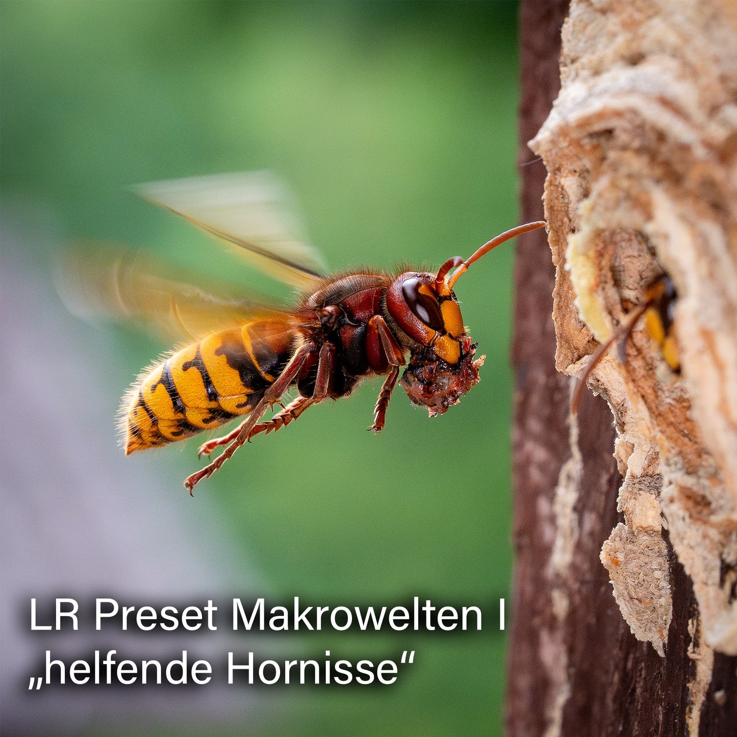 Lightroom Presets Pack 4 KI | 25 stk. | Makrowelten I