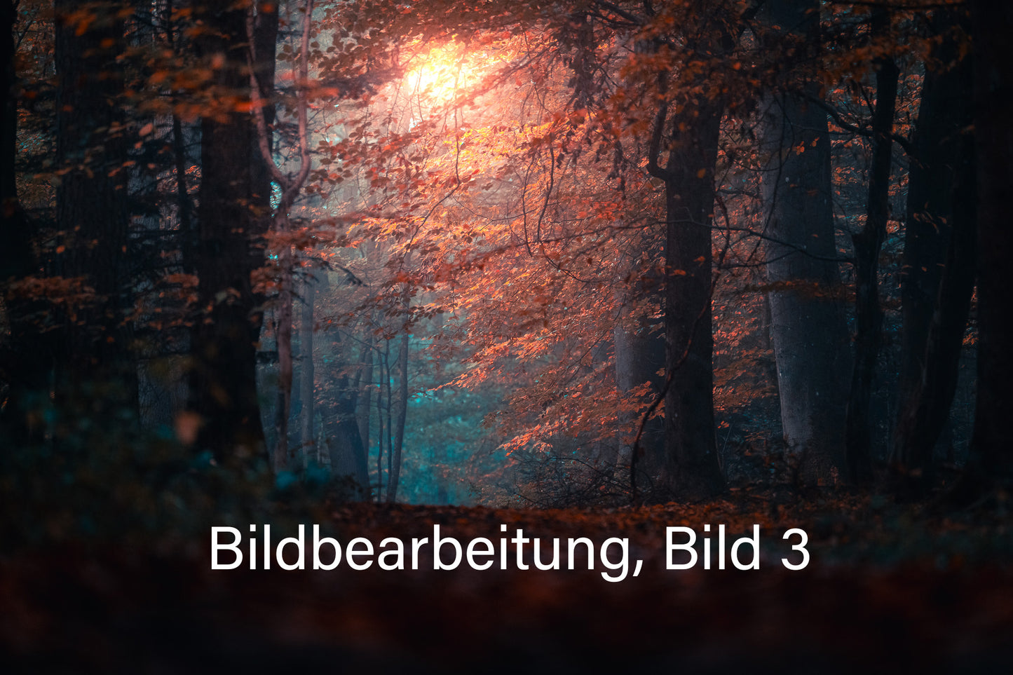 LIGHTROOM Video-Kurs für Beginner und Fortgeschrittene | 82 Min.