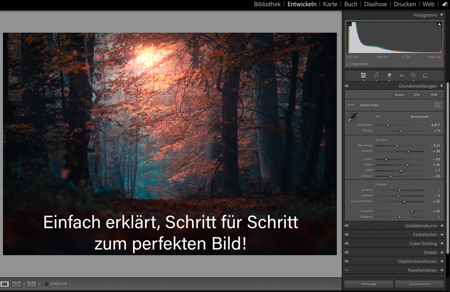 LIGHTROOM Video-Kurs für Beginner und Fortgeschrittene | 82 Min.