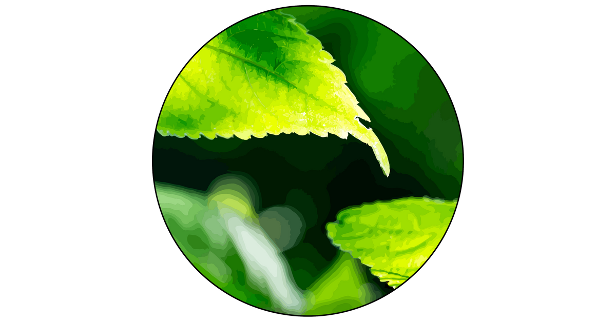 AmazingNature Alpha – AmazingNature Alpha Shop