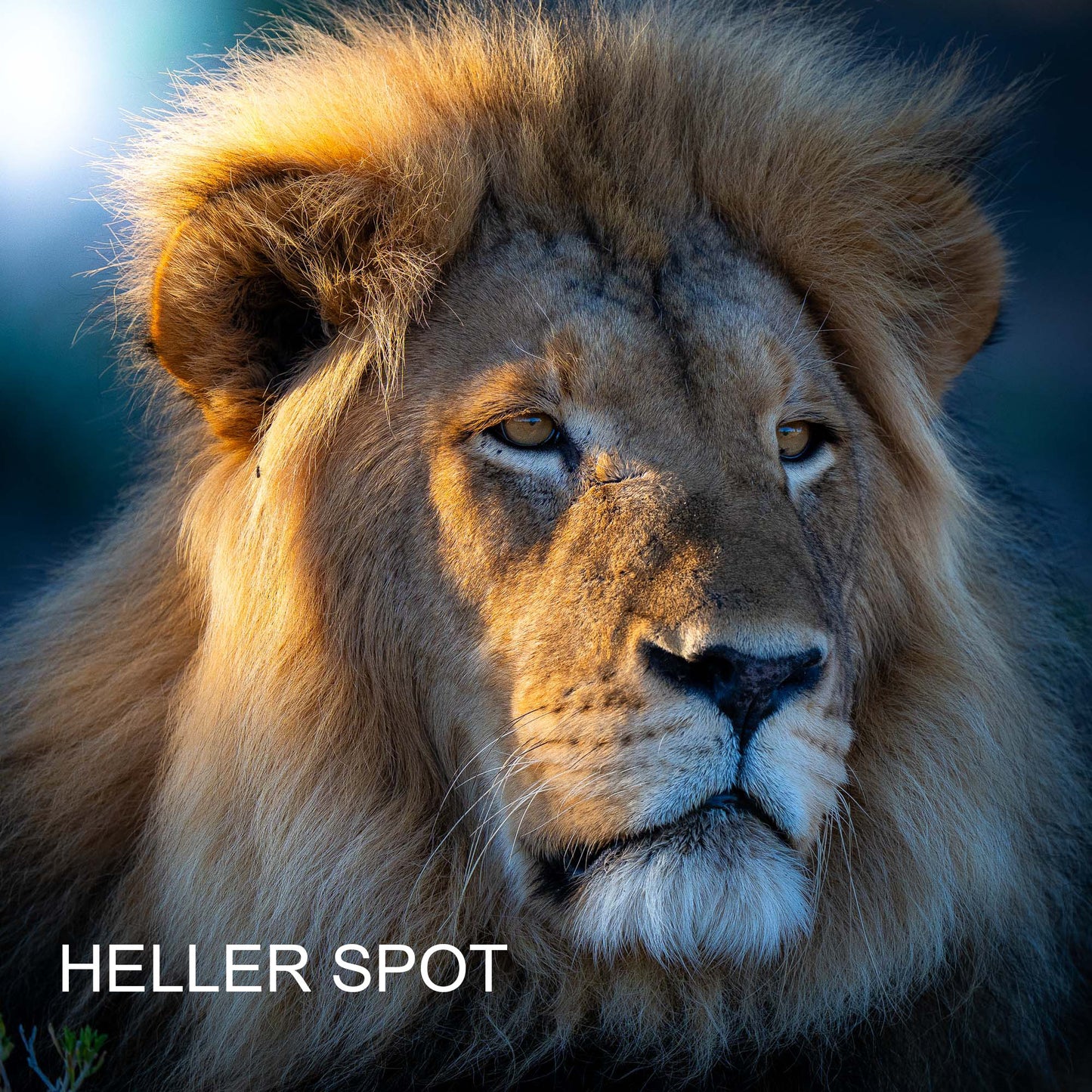 Lightroom Presets Pack 5 | 32 stk. | Amazing Lights