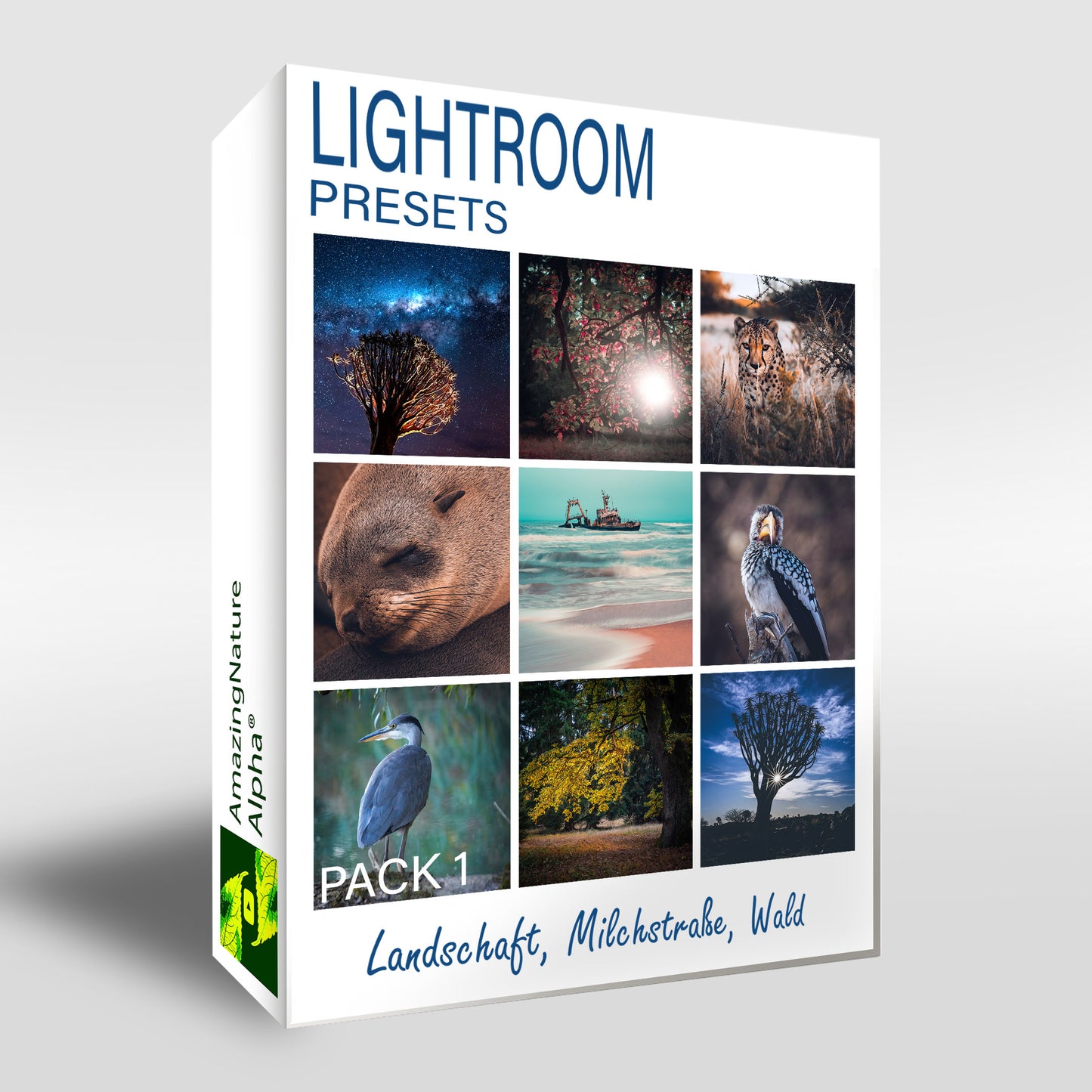 Lightroom Presets Pack 1 | 27 Stück | Landschaft, Milchstraße, Wald
