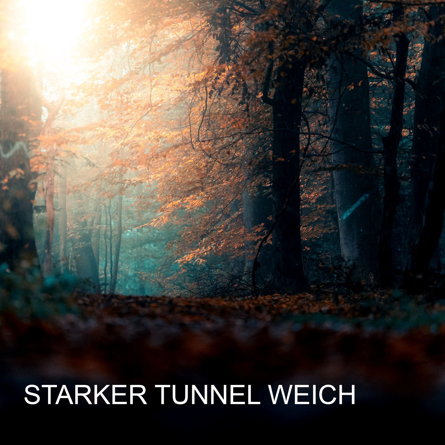 Lightroom Presets Pack 5 | 32 stk. | Amazing Lights